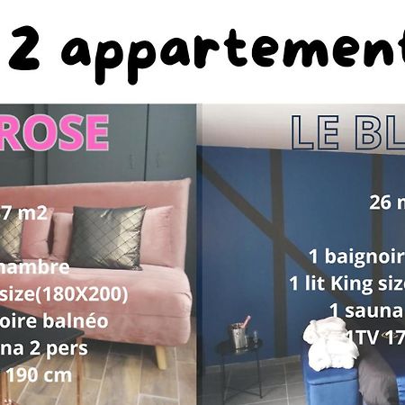 Appartements Avec Balneo Et Sauna Privatif - Troyes Centre 特鲁瓦 外观 照片